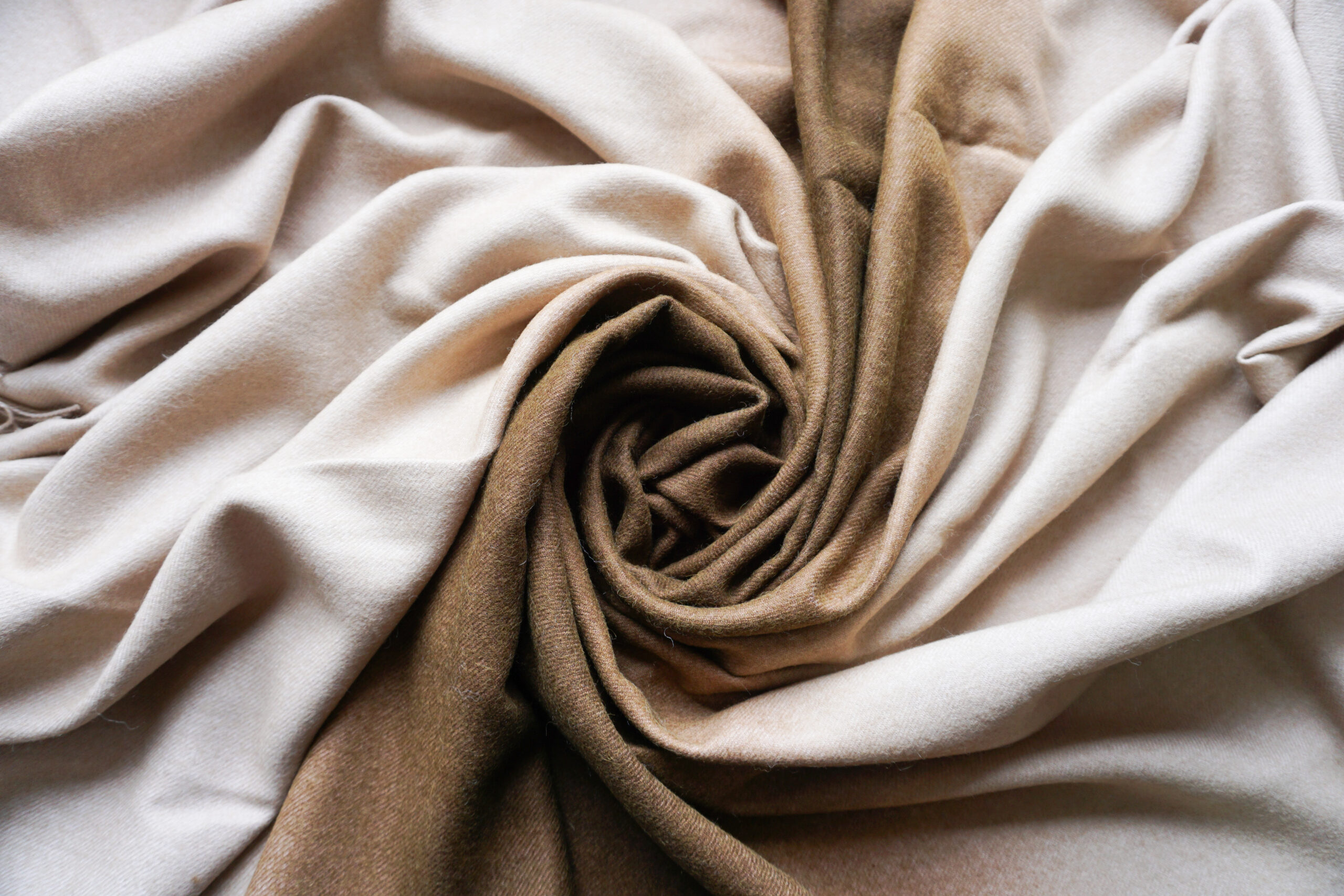 Essential a Mano - Image 4