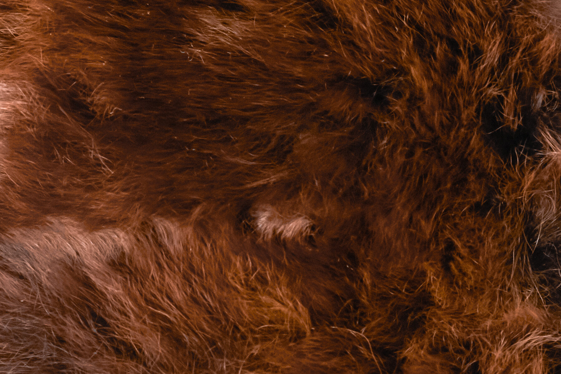 Fourrure Throw - Image 3