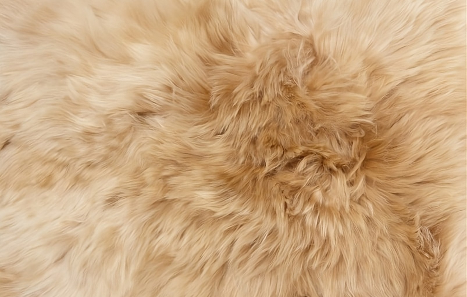 Fourrure Throw - Image 4