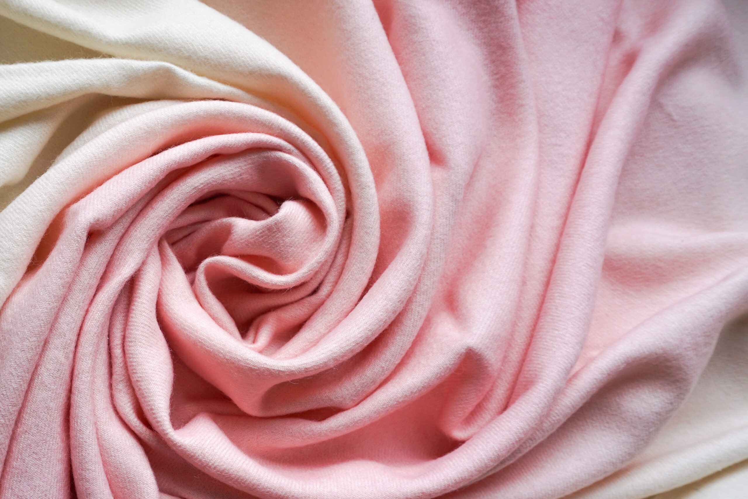 Essential a Mano - Image 6